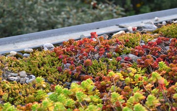 the cost of Bruche green roof installation