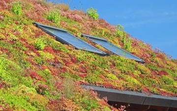 Bruche living roof systems